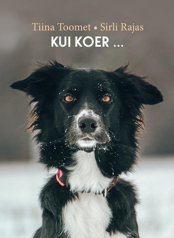 Kui koer ...