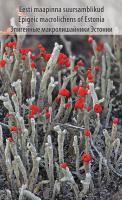 Eesti maapinna suursamblikud - Epigeic macrolichens of Estonia = Эпигейные макролишайники Эсто