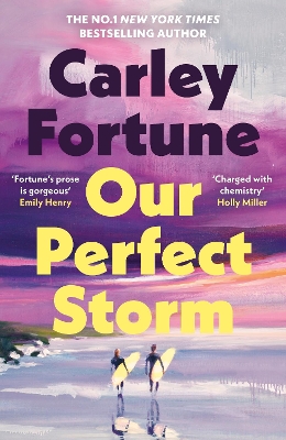 Our Perfect Storm: An emotional sweeping new love story from the international bestseller and queen of summer romance