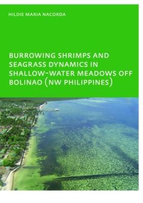 Burrowing Shrimps and Seagrass Dynamics in Shallow-Water Meadows off Bolinao  (New Philippines): UNESCO-IHE PhD