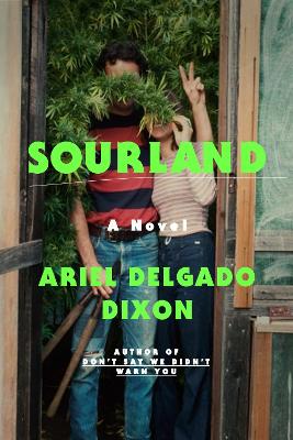 Sourland: A Novel