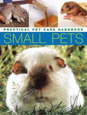 Small Pets
