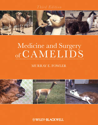 Medicine and Surgery of Camelids 3rd Edition