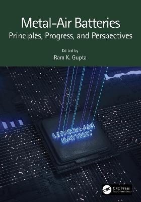 Metal-Air Batteries: Principles, Progress, and Perspectives