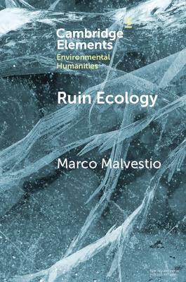 Ruin Ecology: An Exercise in Environmental Imagination