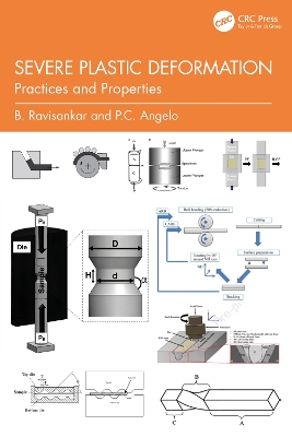 Severe Plastic Deformation: Practices and Properties