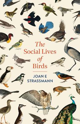 Social Lives of Birds: a must-read for bird and nature lovers