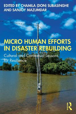 Micro Human Efforts in Disaster Rebuilding: Cultural and Contextual Lessons for Resilience