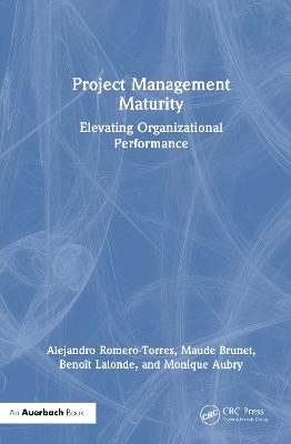 Project Management Maturity: Elevating Organizational Performance