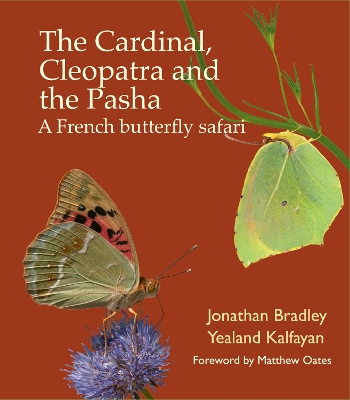 Cardinal, Cleopatra and the Pasha: A French butterfly safari