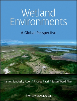 Wetland Environments - A Global Perspective: A Global Perspective