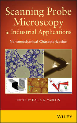 Scanning Probe Microscopy in Industrial Applications - Nanomechanical   Characterization: Nanomechanical Characterization