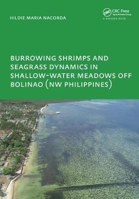 Burrowing Shrimps and Seagrass Dynamics in Shallow-Water Meadows off Bolinao  (New Philippines): UNESCO-IHE PhD
