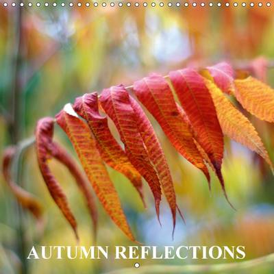 Autumn Reflections 2015: The project Autumn Reflections immerses the viewer into the world of  autumn spirit.