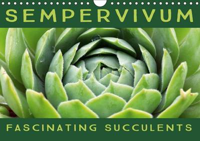 Sempervivum Fascinating Succulents 2017: Sempervivum, 12 Wonderful Portraits of the Fascinating Succulents 2nd edition