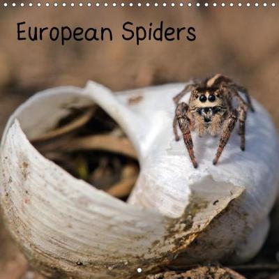 European Spiders 2018: 13 Macro Shots of Eight Different Species of European Spiders, Some of Them  with Prey. 4th edition
