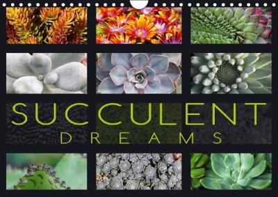 Succulent Dreams 2018: Beautiful Portraits of Selected Succulents 3rd edition