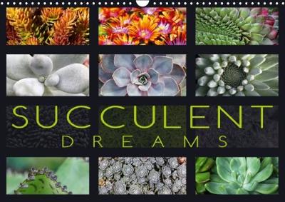 Succulent Dreams 2018: Beautiful Portraits of Selected Succulents 3rd edition