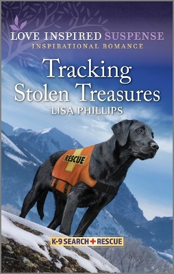 Tracking Stolen Treasures Original ed.