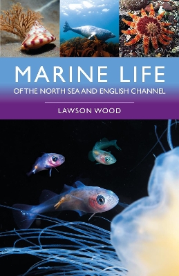 Marine Life of the North Sea and English Channel 2nd edition