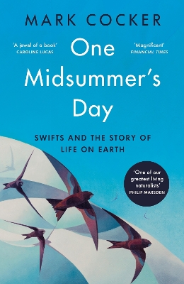 One Midsummer's Day: The story of all life on Earth told through the flight of a single bird