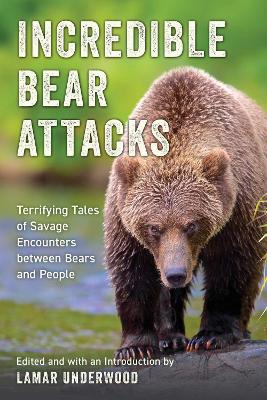 Incredible Bear Attacks: Terrifying Tales of Savage Encounters between Bears and People