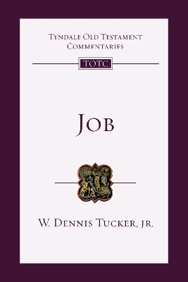 Job: An Introduction and Commentary, Volume 14