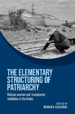 elementary structuring of patriarchy: Bolivian women and transborder mobilities in the Andes