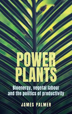 Power plants: Bioenergy, vegetal labour and the politics of productivity