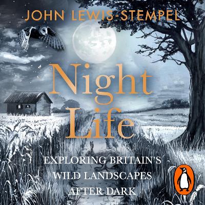 Night Life: Walking Britain's wild landscapes after dark