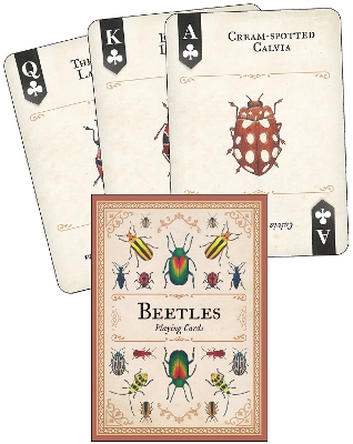 Beetles Playing Cards