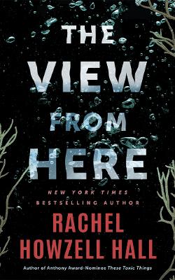 View from Here: A Thriller