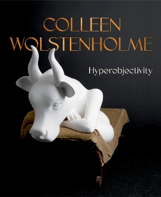 Colleen Wolstenholme: Hyperobjectivity