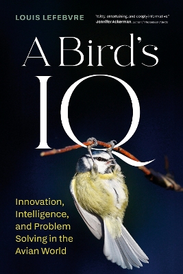 Bird's IQ: Innovation, Intelligence, and Problem Solving in the Avian World