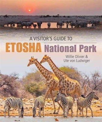 Visitors Guide to Etosha National Park