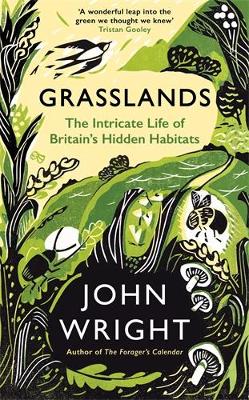 Grasslands: The Intricate Life of Britain's Hidden Habitats