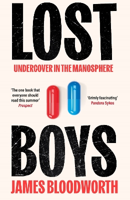 Lost Boys: Undercover in the Manosphere Main