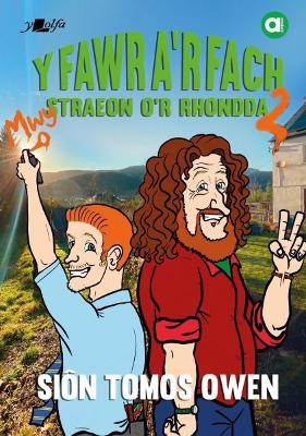 Cyfres Amdani: Y Fawr a''r Fach 2