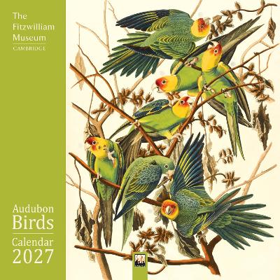 Fitzwilliam Museum: Audubon Birds Wall Calendar 2027 (Art Calendar) New edition