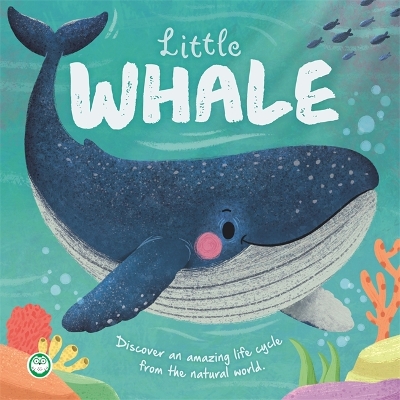 Little Whale: An illustrated story about the life cycle of a whale