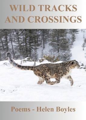 Wild Tracks and Crossings