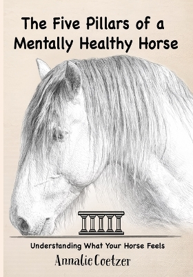 5 Pillars of a Mentally Healthy Horse: Understanding Equine Stress, Behavior, and How to Create a Mentally Thriving  Life For Your Horse Through the 5 Pillars Framework
