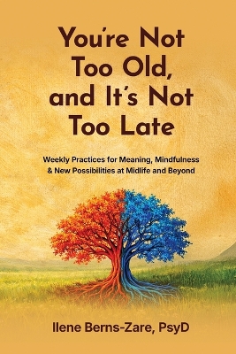 You're Not Too Old, and It's Not Too Late: Weekly Practices of Meaning, Mindfulness, and New Possibilities at Midlife  and Beyond