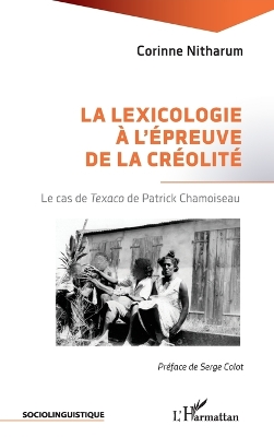 La lexicologie a l'epreuve de la creolite: Le cas de Texaco de Patrick Chamoiseau