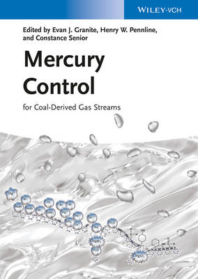 Mercury Control: for Coal-Derived Gas Streams
