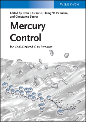 Mercury Control: for Coal-Derived Gas Streams