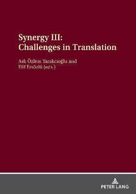 Synergy III: Challenges in Translation