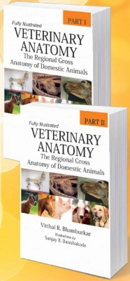 Veterinary Anatomy