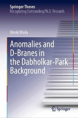 Anomalies and D-Branes in the Dabholkar-Park Background
