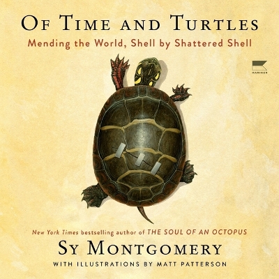Of Time and Turtles: Mending the World, Shell by Shattered Shell Unabridged edition